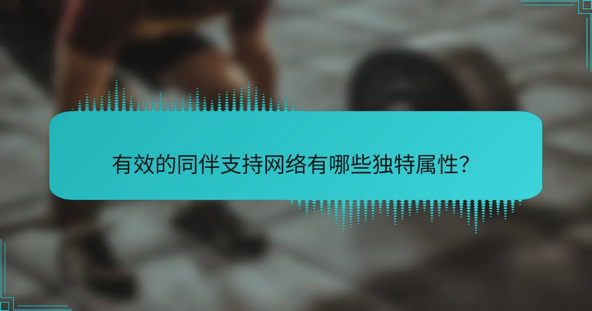 有效的同伴支持网络有哪些独特属性？